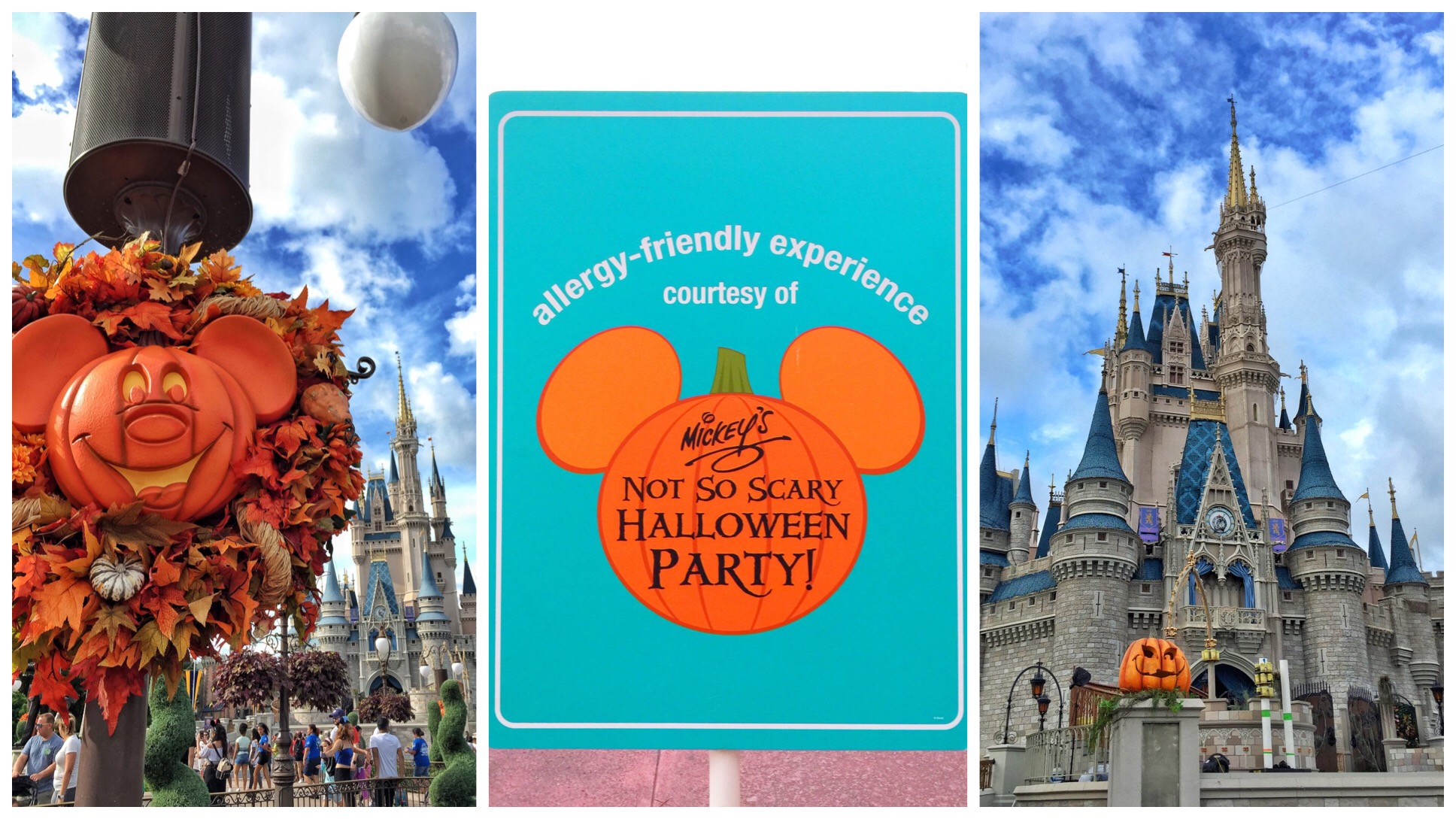 Vegan Guide to Mickey's Not So Scary Halloween Party in the Magic Kingdom at Walt Disney World