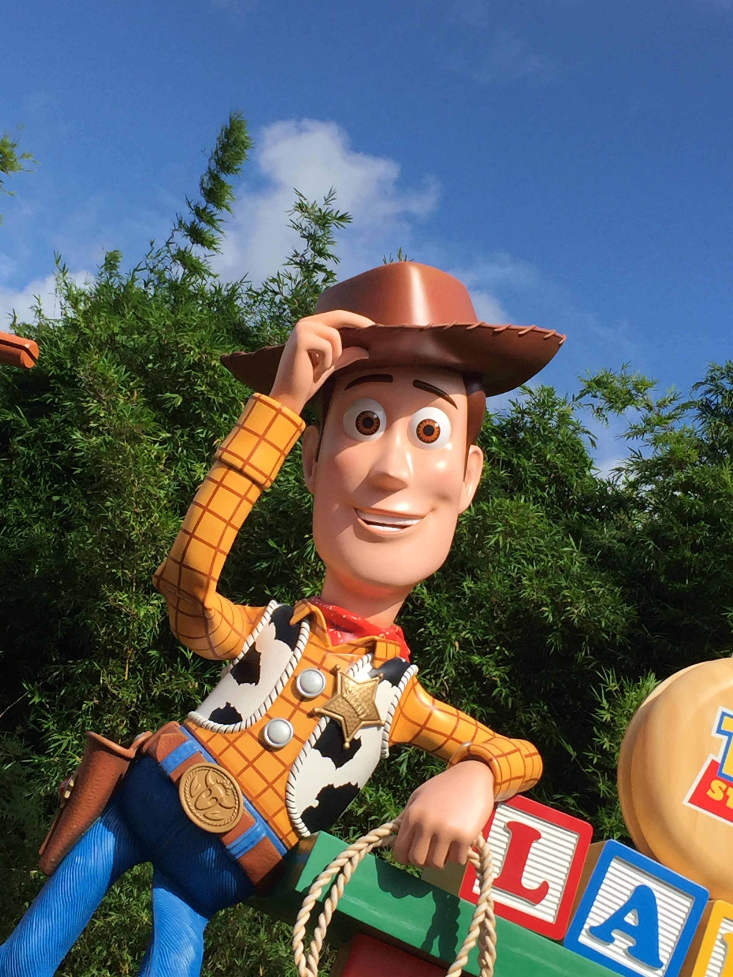 Woody s