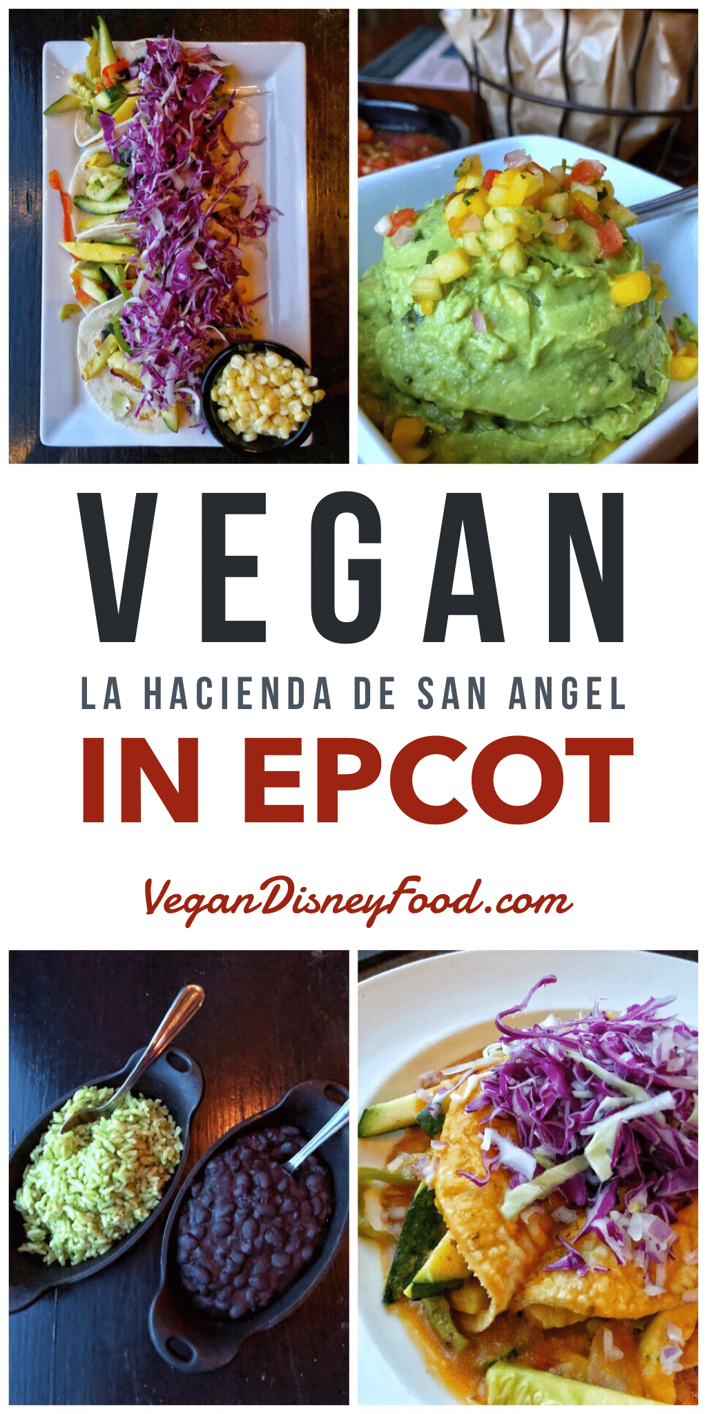 A Comprehensive Review of all the vegan options at La Hacienda de San Angel in Epcot’s Mexico Pavilion at Walt Disney World