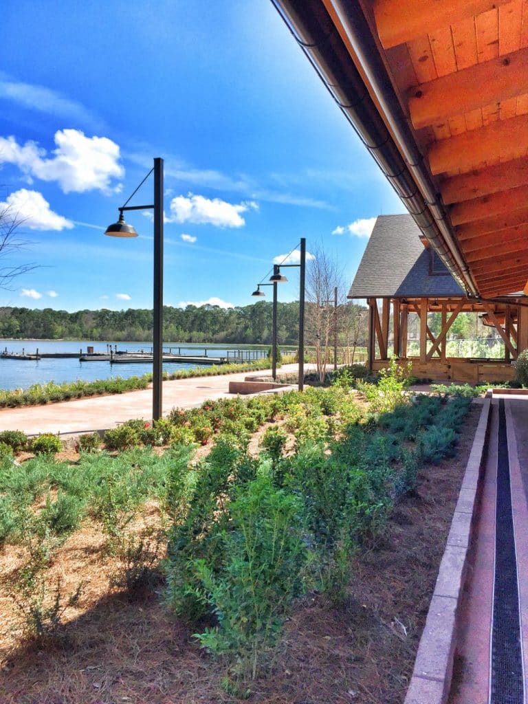 Vegan Disney Food Review: Geyser Point Bar & Grill at Disney’s Wilderness Lodge