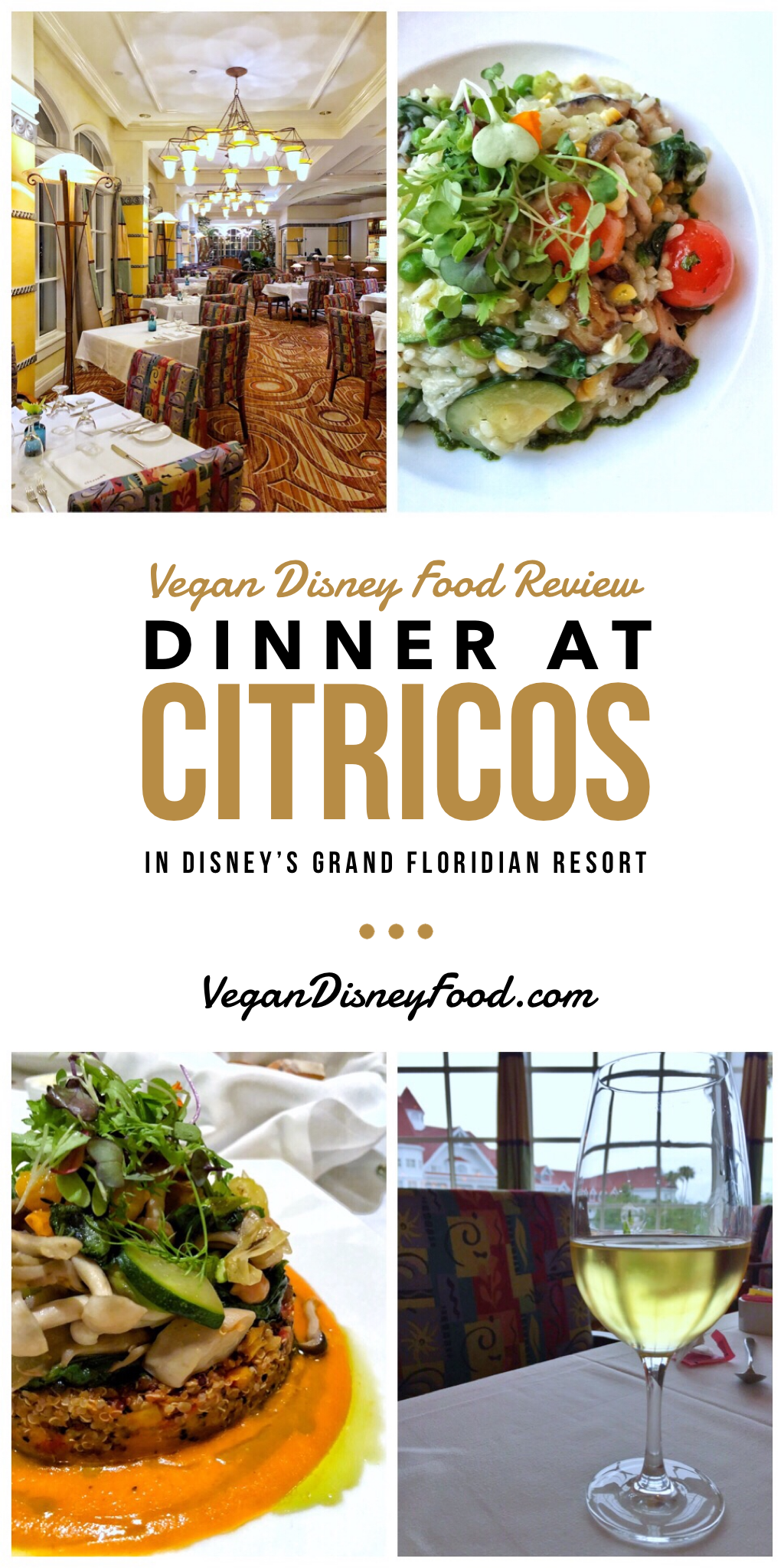 Vegan Disney Food Review: Dinner at Citricos in Disney’s Grand Floridian Resort