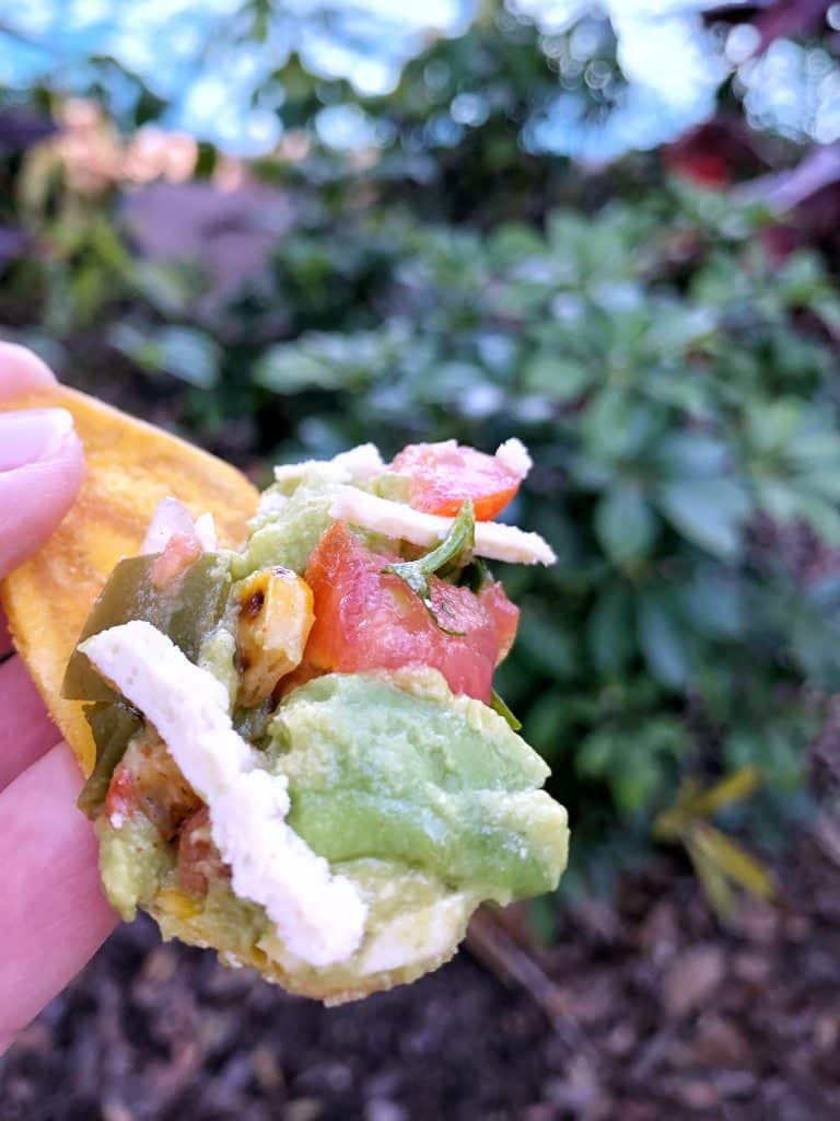 Vegan Disney Food Review: Leaning Palms at Disney’s Blizzard Beach Water Park