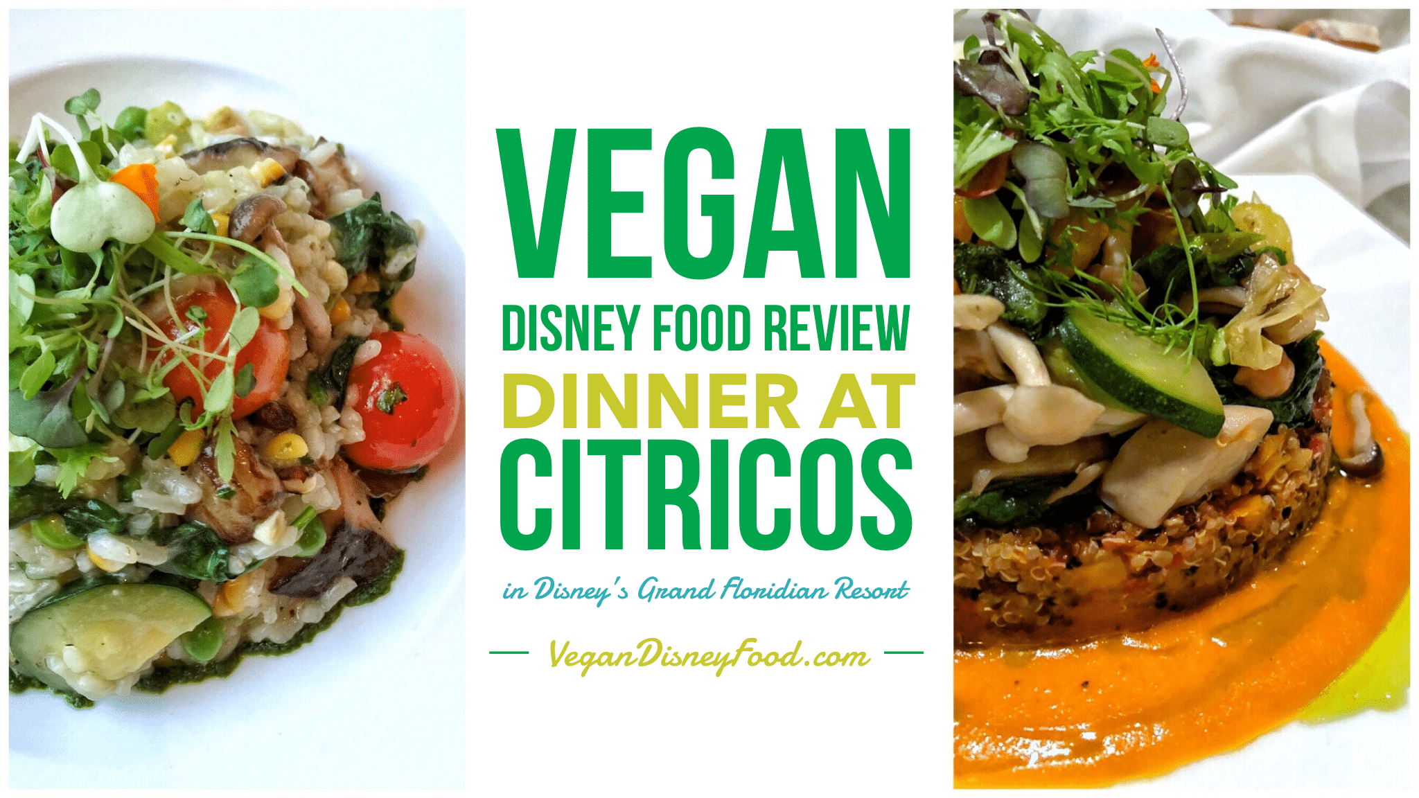 Vegan Disney Food Review: Dinner at Citricos in Disney’s Grand Floridian Resort