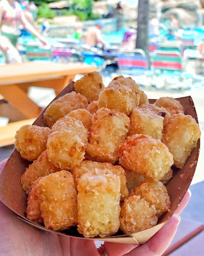 Vegan at Walt Disney World - Tater Tots at Blizzard Beach Water Park