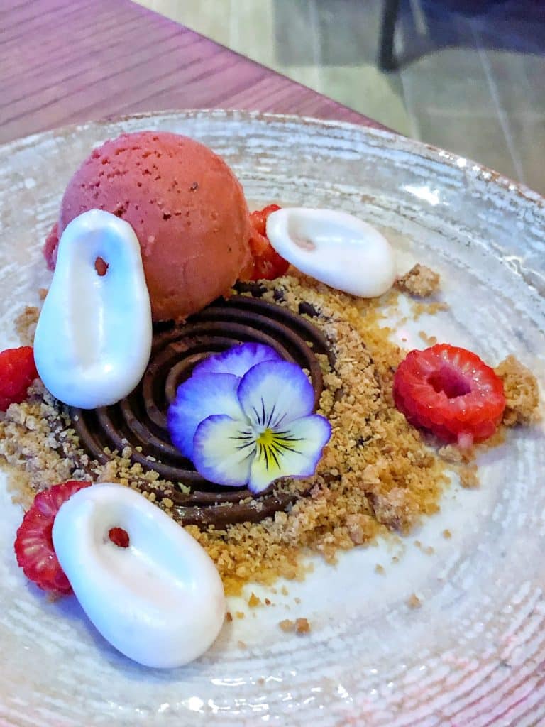 Vegan Disney Food Review: Toledo at Coronado Springs Gran Destino - Chocolate Avocado Mousse