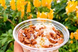 Vegan at Disneyland - Dole Whip Overnight Oats from Tropical Imports