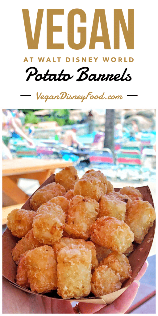 Vegan at Walt Disney World - Tater Tots at Blizzard Beach Water Park