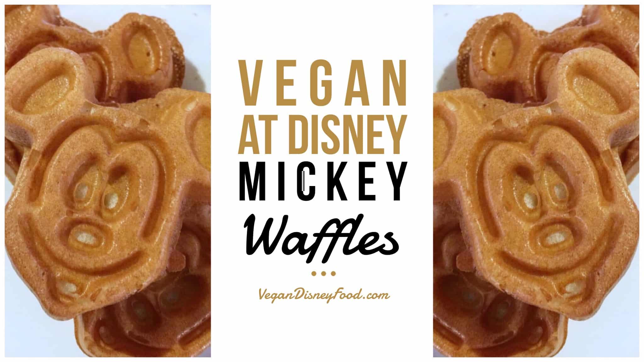 Vegan Disney World - Mickey Waffles at Boma in Animal Kingdom Lodge