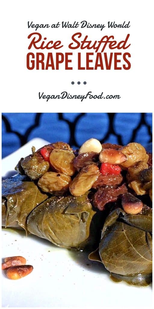 Vegan at Walt Disney World - Epcot’s Spice Road Table Rice Stuffed Grape Leaves