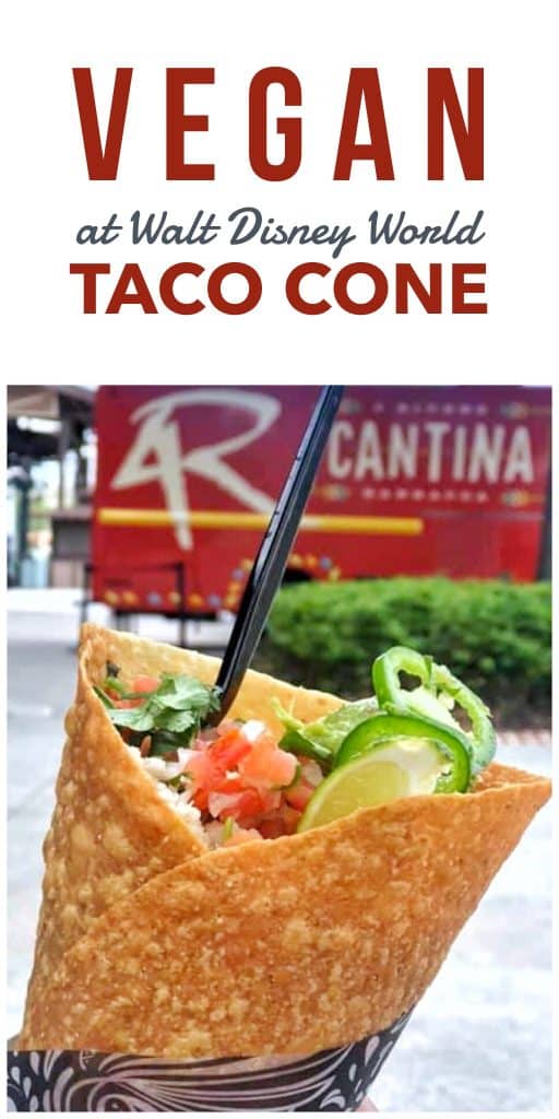 Vegan at Walt Disney World - Taco Cone at 4 Rivers Cantina Food Truck in Disney Springs