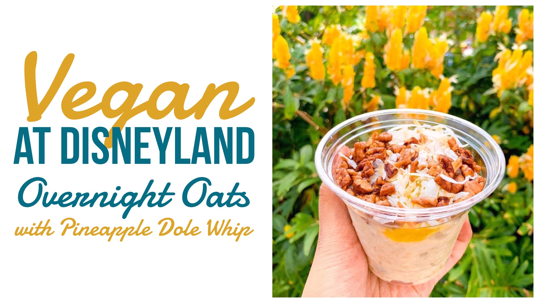 Vegan at Disneyland Dole Whip Overnight Oats from Tropical Imports