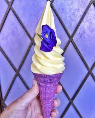 Vegan at Walt Disney World - The Lost Princess Cone in the Magic Kingdom