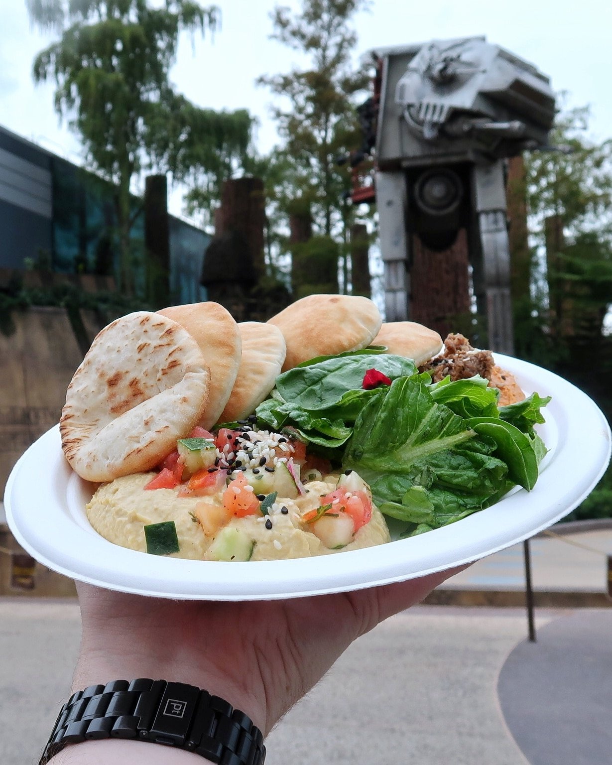 Vegan Two Suns Hummus at Backlot Express in Disney’s Hollywood Studios