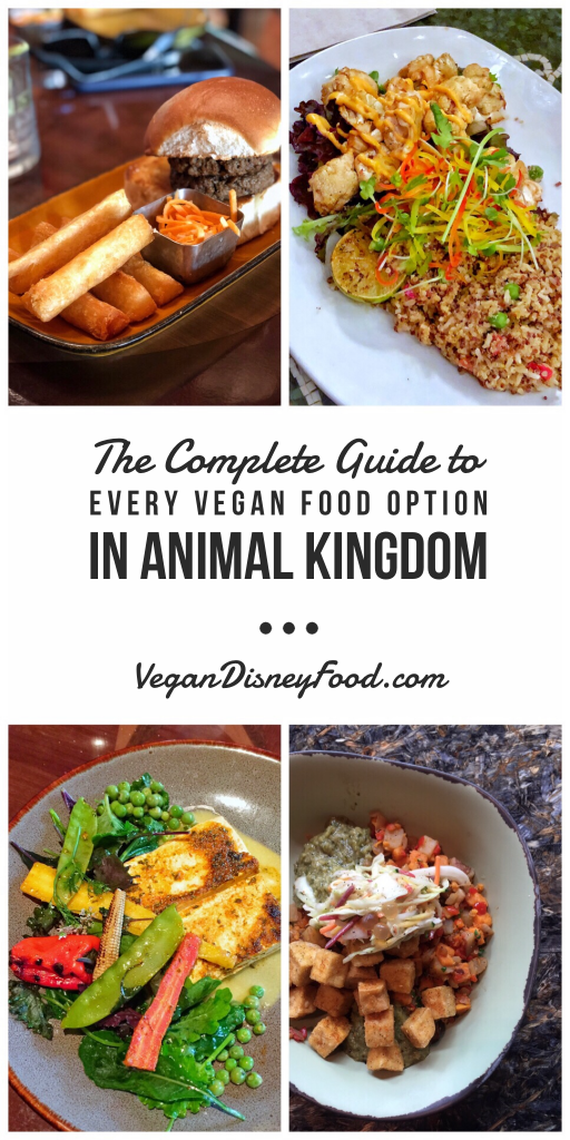 What's Vegan in Disney's Animal Kingdom? - Vegan Disney Food