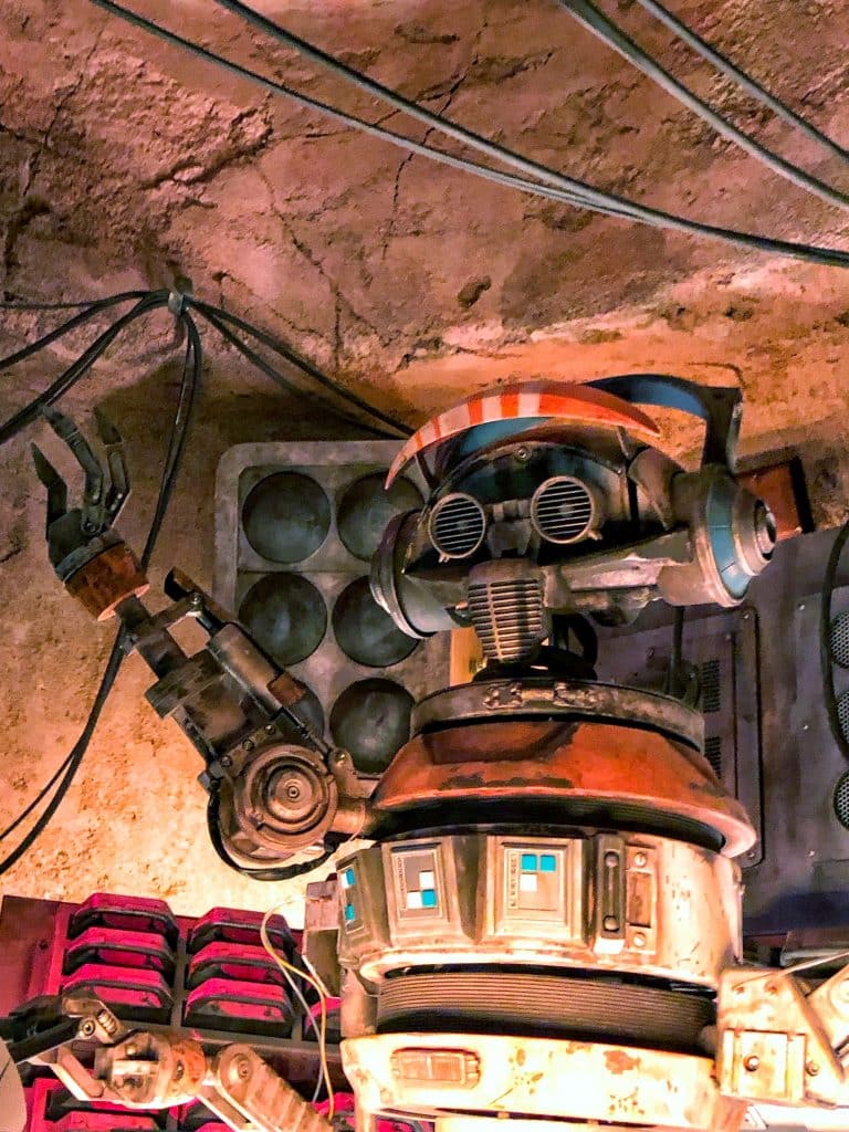 What’s Vegan at Disney’s Star Wars: Galaxy’s Edge? - Oga’s Cantina