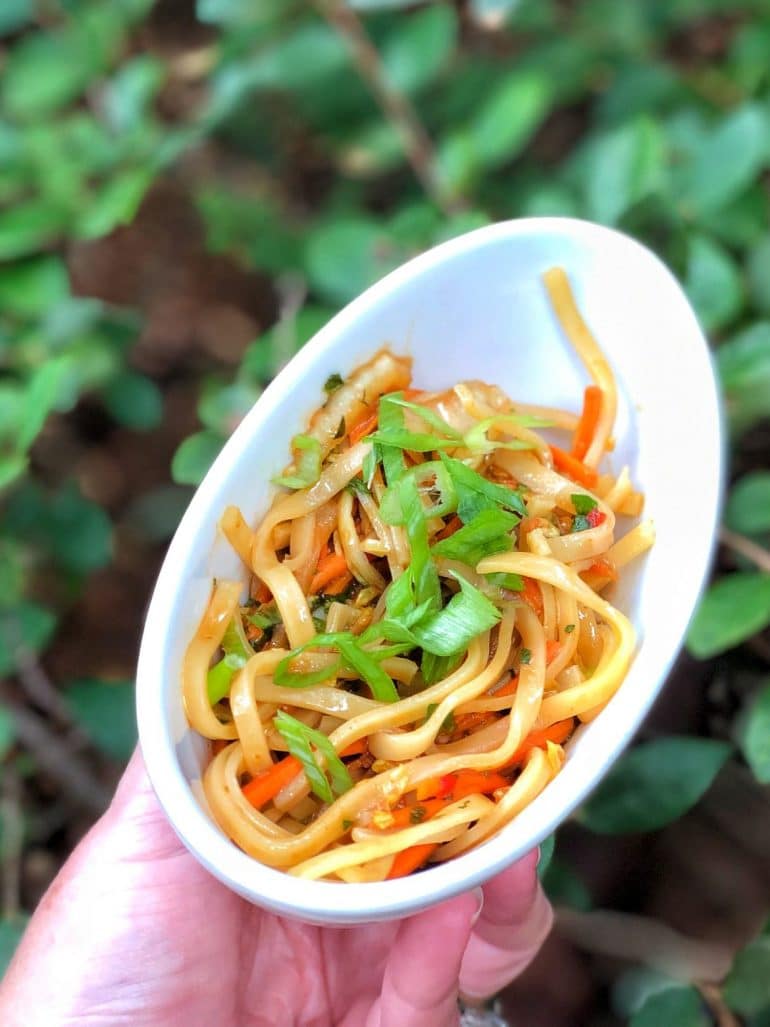 Vegan Cold Noodle Salad at the Epcot International Food and Wine Festival in Walt Disney World