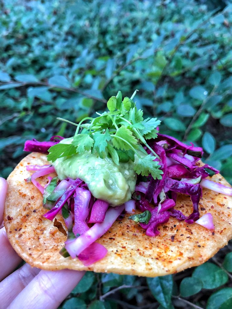 Vegan Options at the Epcot International Food and Wine Festival - Modified Tostada from Coastal Eats