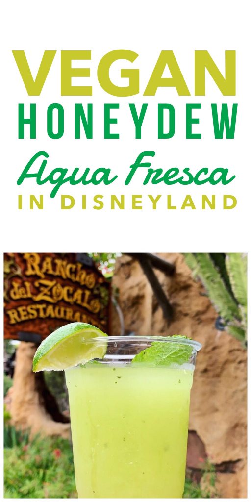 Vegan in Disneyland - Honeydew Agua Fresca at Rancho del Zocalo