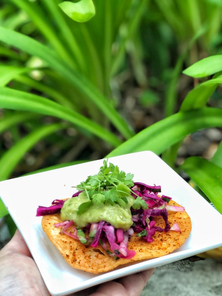 Vegan Options at the Epcot International Food and Wine Festival - Modified Tostada from Coastal Eats