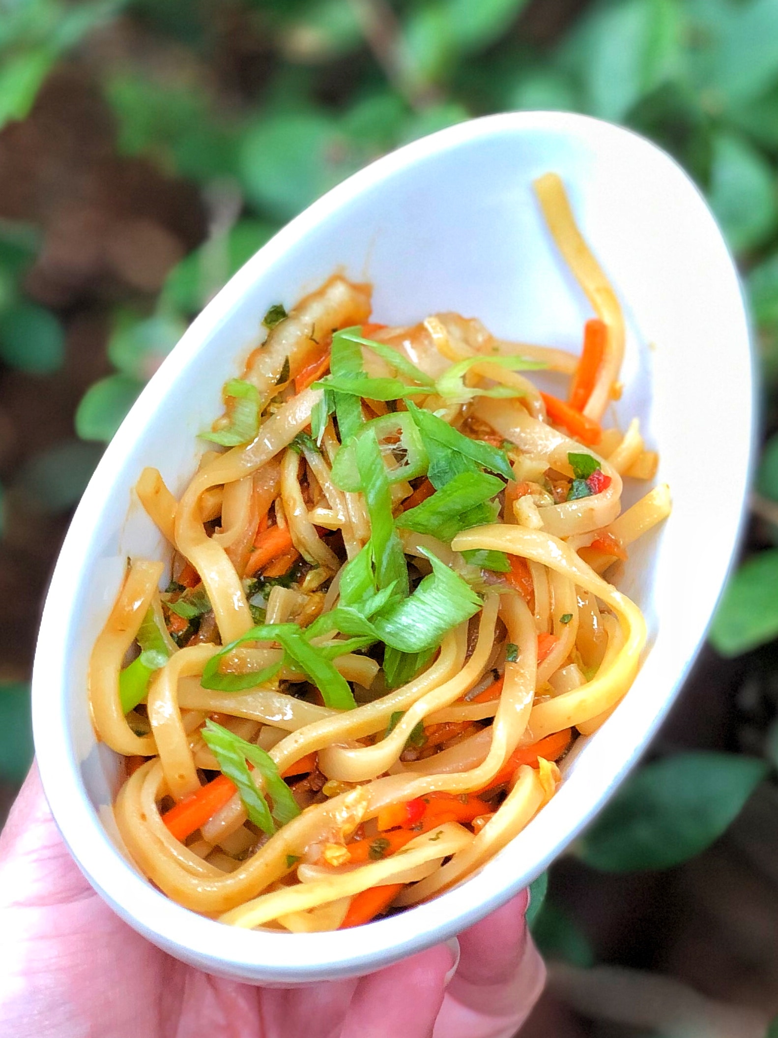 Vegan Cold Noodle Salad at the Epcot Food and Wine Festival