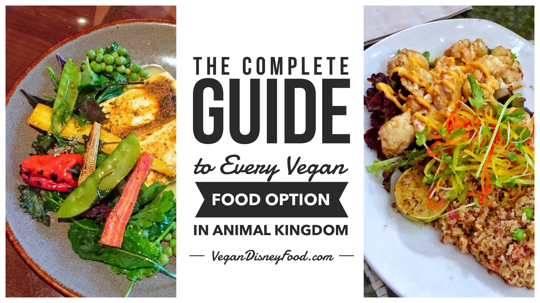What’s Vegan in Disney’s Animal Kingdom? - The Complete Guide to Every Vegan Food Option in the Animal Kingdom theme park