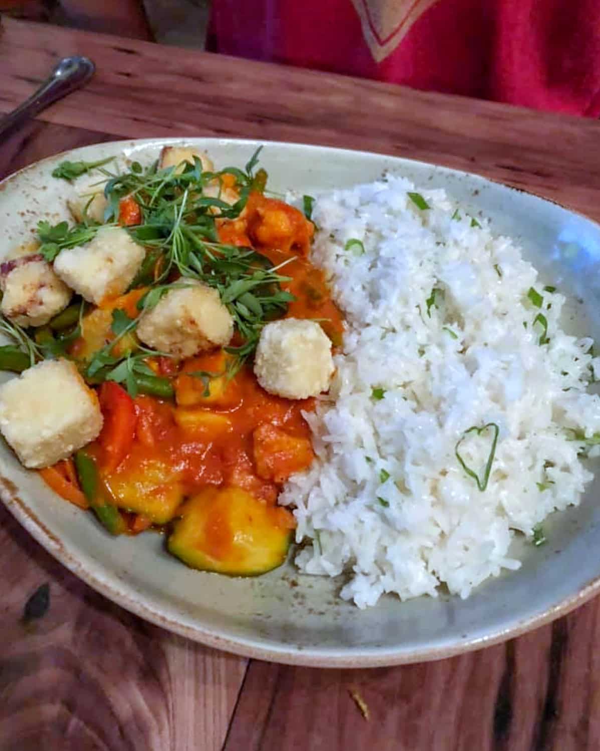 Vegan Walt Disney World Curried Vegetable Crew Stew in Magic Kingdom