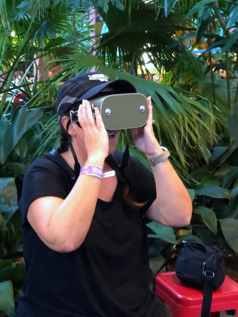 What’s Vegan at Circle of Flavors: Harambe at Night in Animal Kingdom? - Virtual Reality Experience