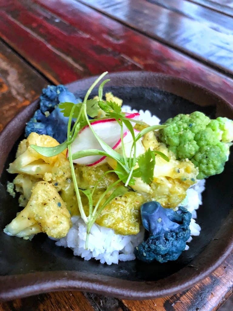 What’s Vegan at Circle of Flavors: Harambe at Night in Animal Kingdom? - Cape Malay Curry