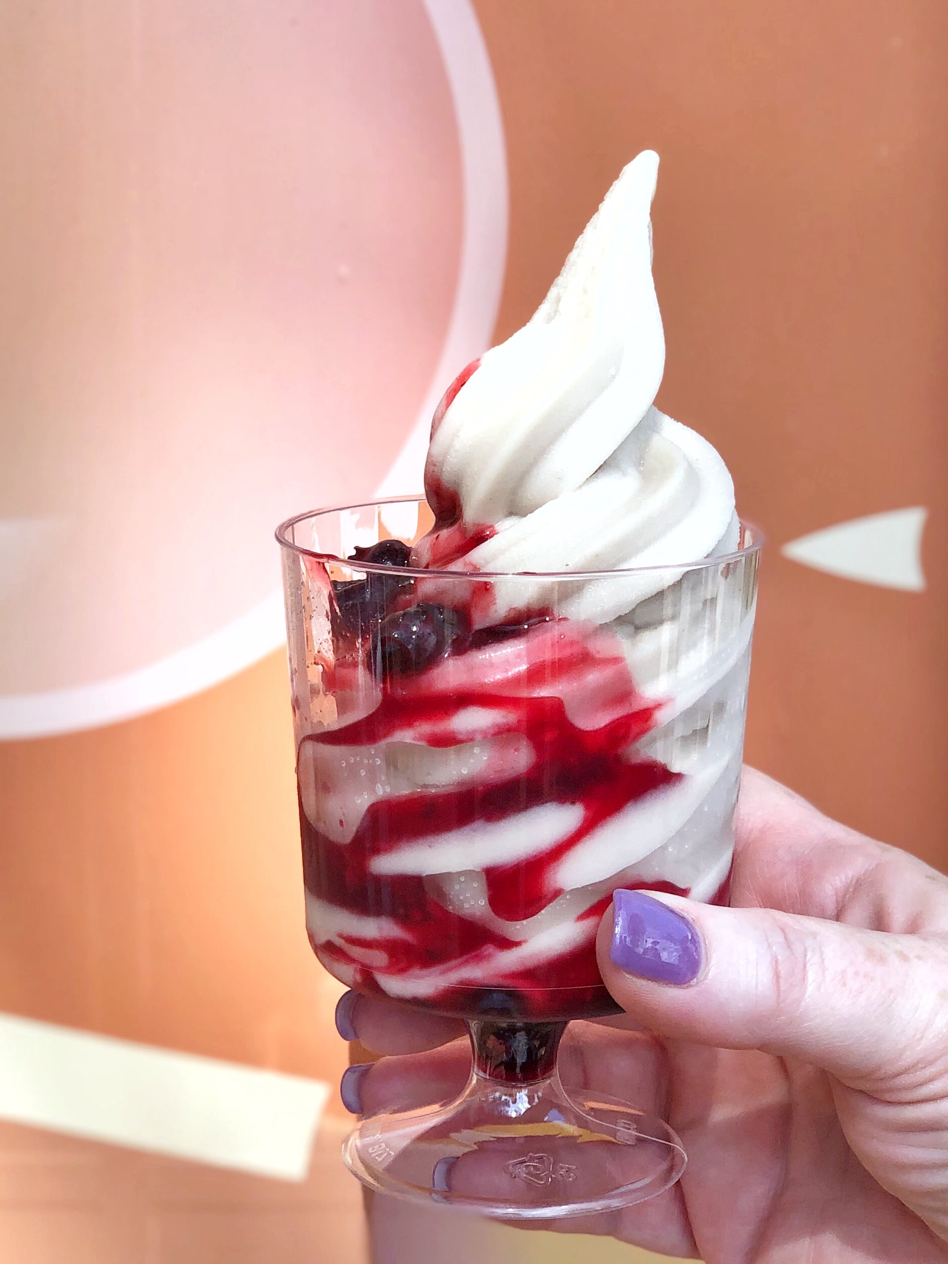 Vegan Options at the NEW 2020 Taste of Epcot Food and Wine Festival