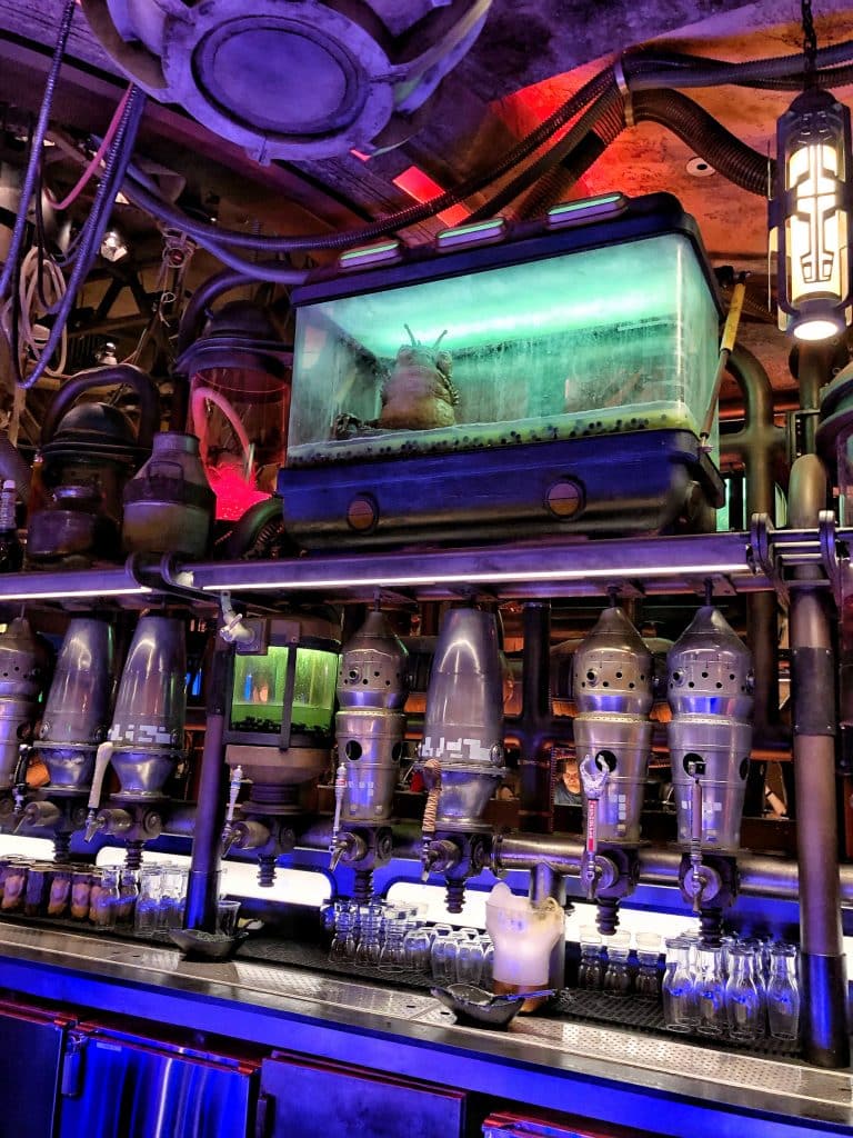 What’s Vegan at Disney’s Star Wars: Galaxy’s Edge? - Oga’s Cantina