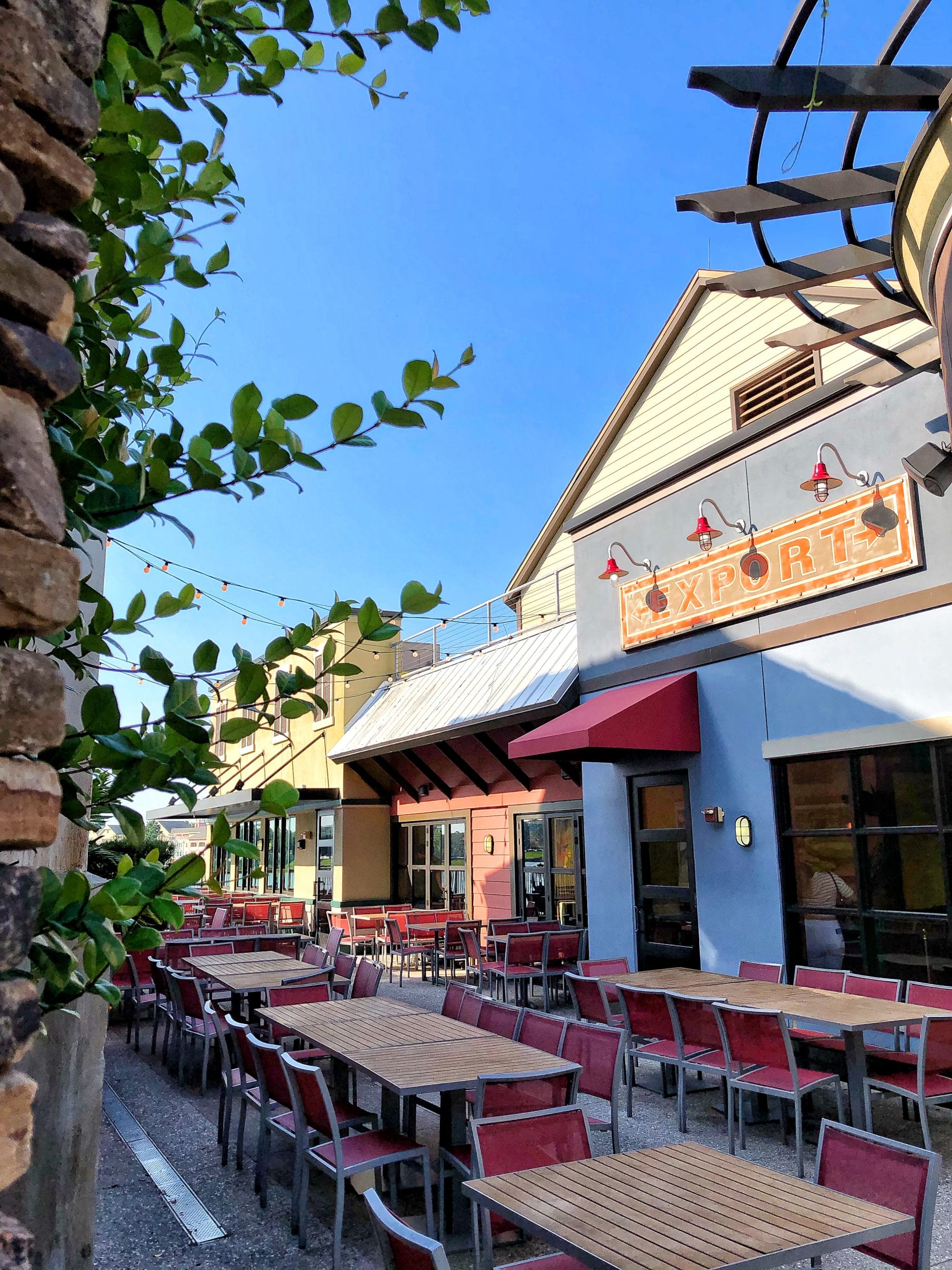 Vegan Options at Paradiso 37 in Disney Springs at Walt Disney World