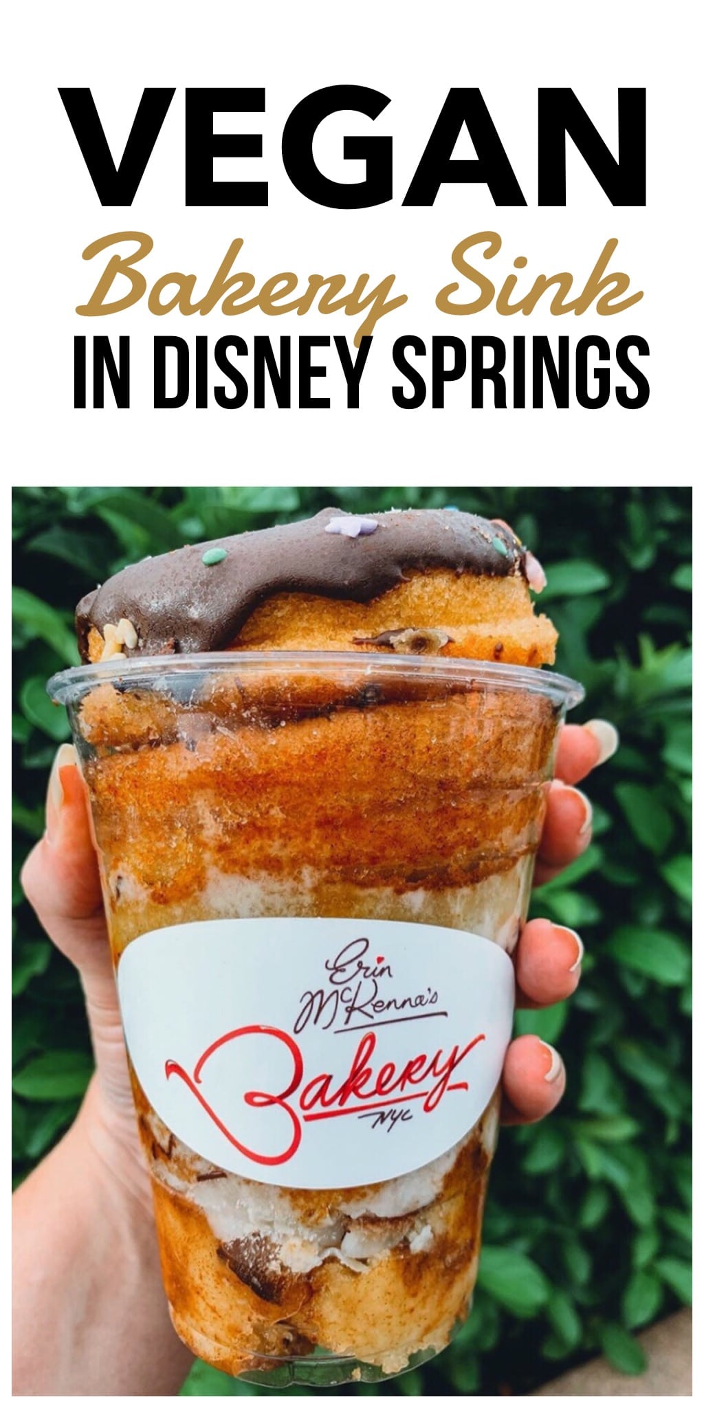Vegan Bakery Sink Dessert Cup in Disney Springs at Walt Disney World