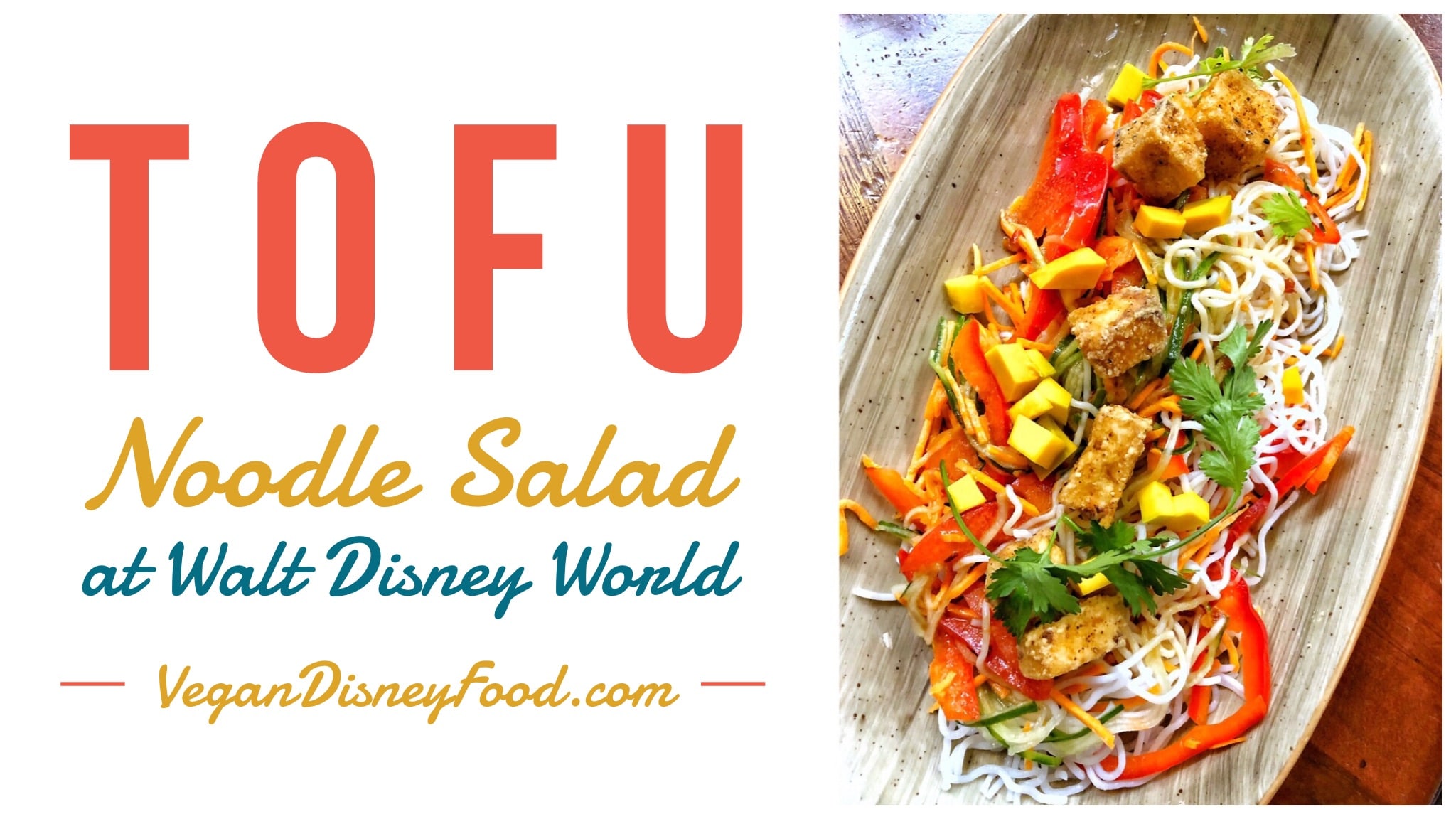 Vegan Tofu Noodle Salad at Kona Cafe in Disney’s Polynesian Resort Vegan Disney Food