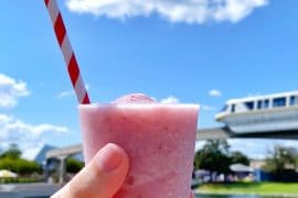 Vegan Strawberry Smoothie at Epcot International Food and Wine Festival Donut Box
