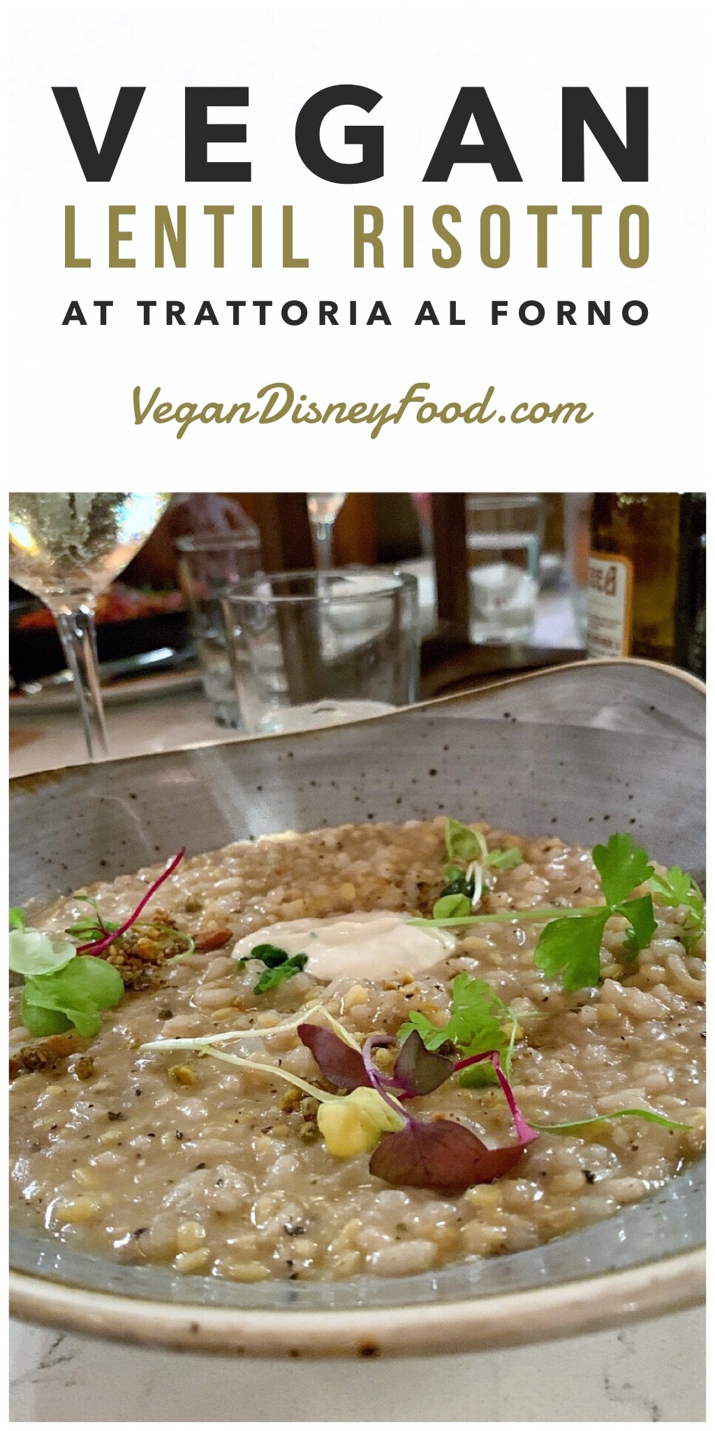 Vegan Lentil Risotto at Trattoria al Forno on the Walt Disney World Boardwalk