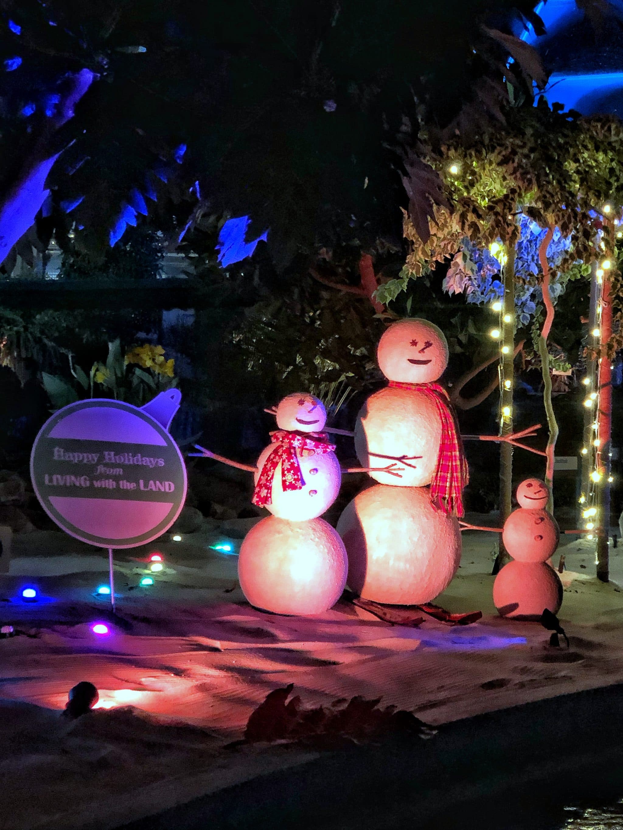 The 2019 Epcot International Festival of the Holidays in Walt Disney World