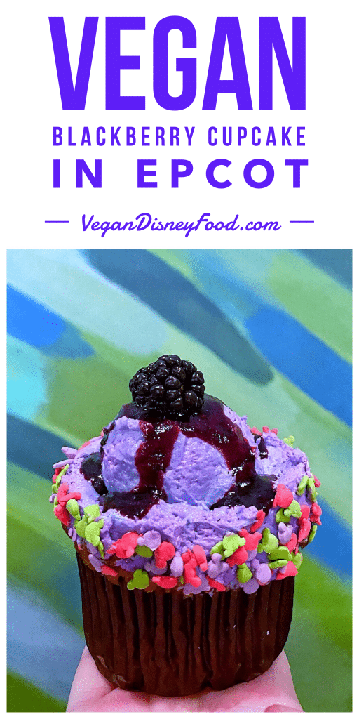 Vegan Blackberry Seasonal Cupcake at Sunshine Seasons in The Land at Epcot in Walt Disney World