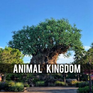 What's Vegan in Disney's Animal Kingdom? - Vegan Disney Food