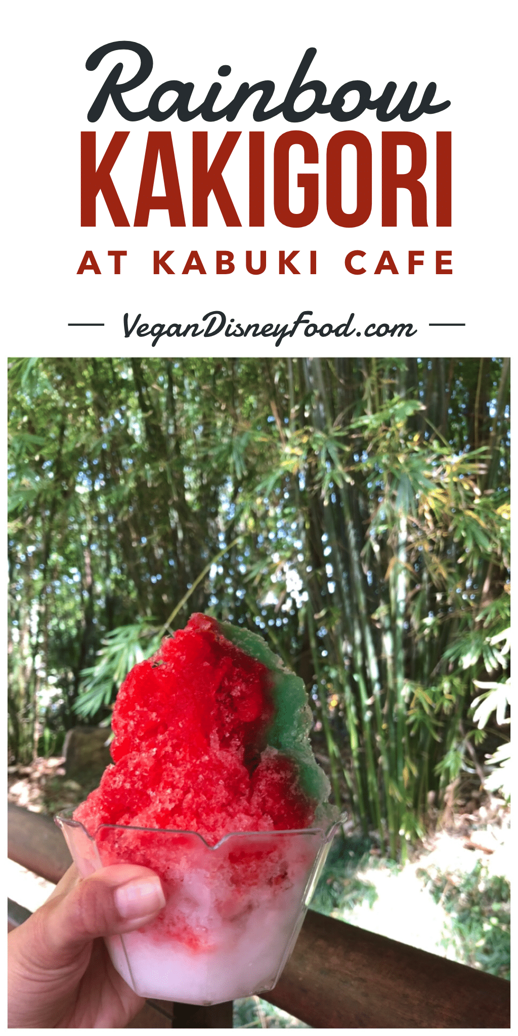 Vegan Rainbow Kakigori at Kabuki Cafe in Epcot at Walt Disney World