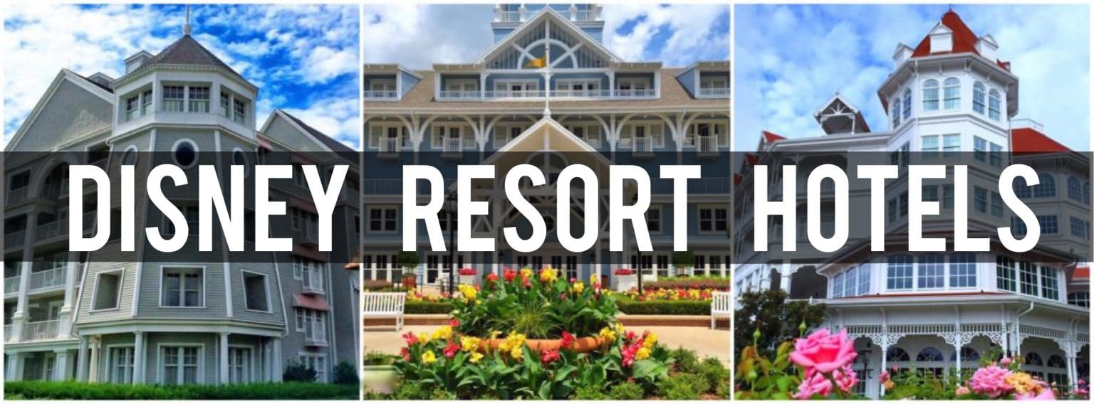 Vegan Fries at DLuxe Burger in Disney Springs Vegan Disney Food