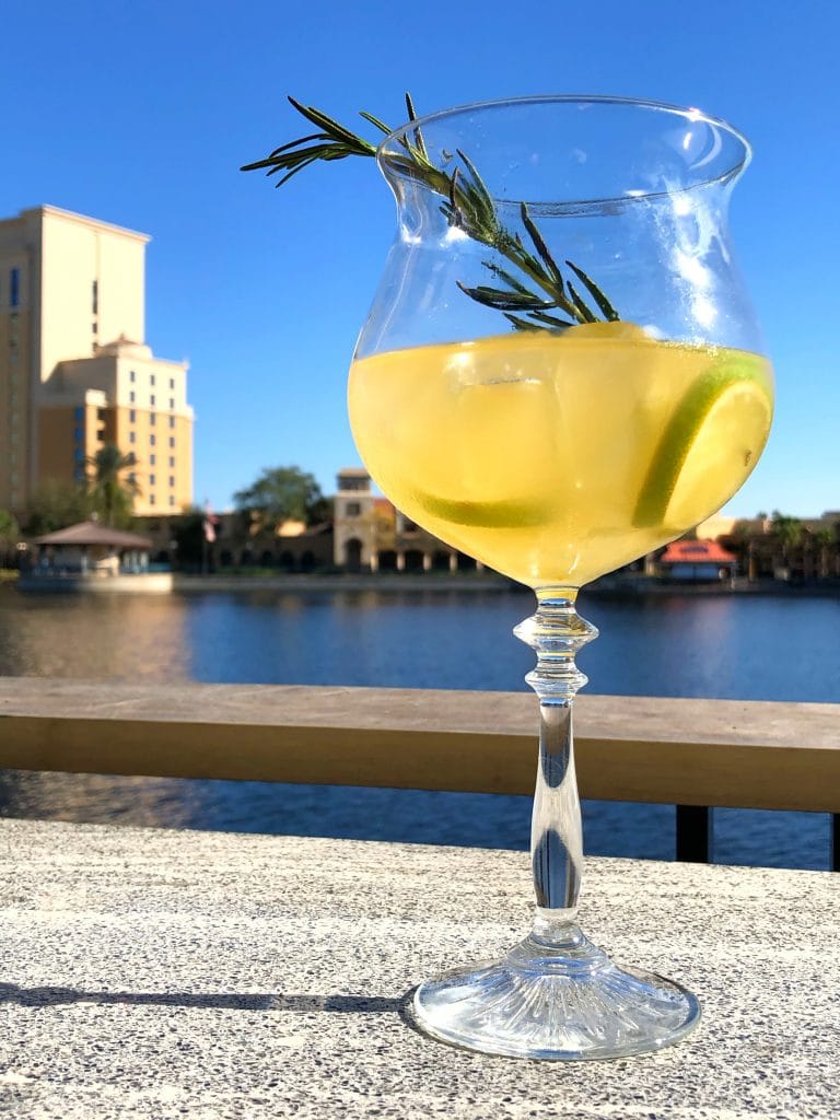 Sangria University Vegan Review at Coronado Springs Resort in Walt Disney World