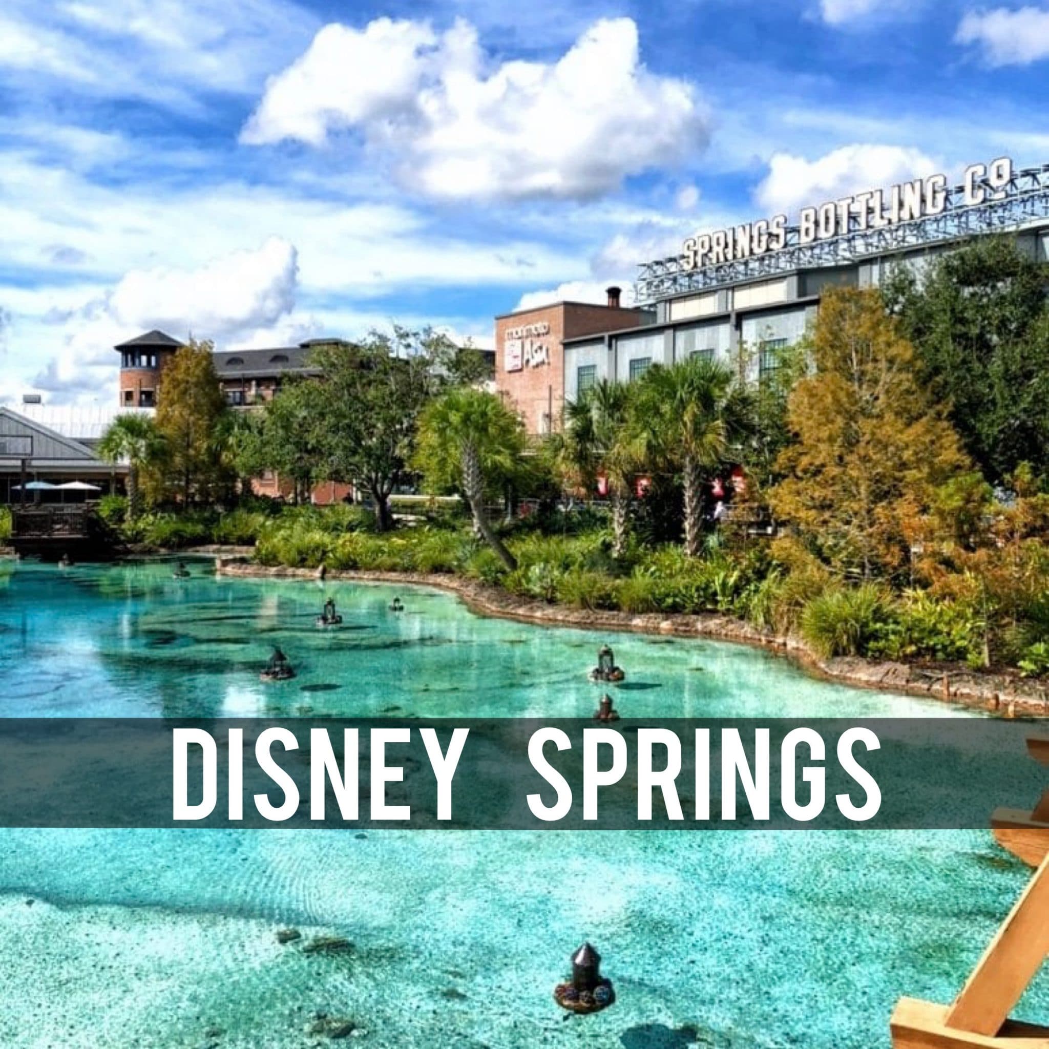 What’s Vegan in Disney Springs? Vegan Disney Food