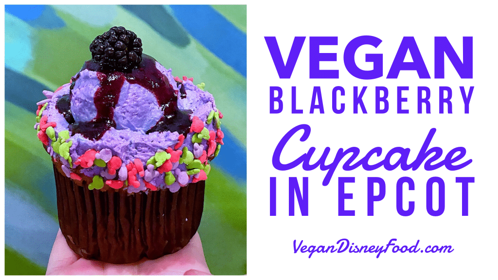 Vegan Blackberry Seasonal Cupcake at Sunshine Seasons in The Land at Epcot in Walt Disney World