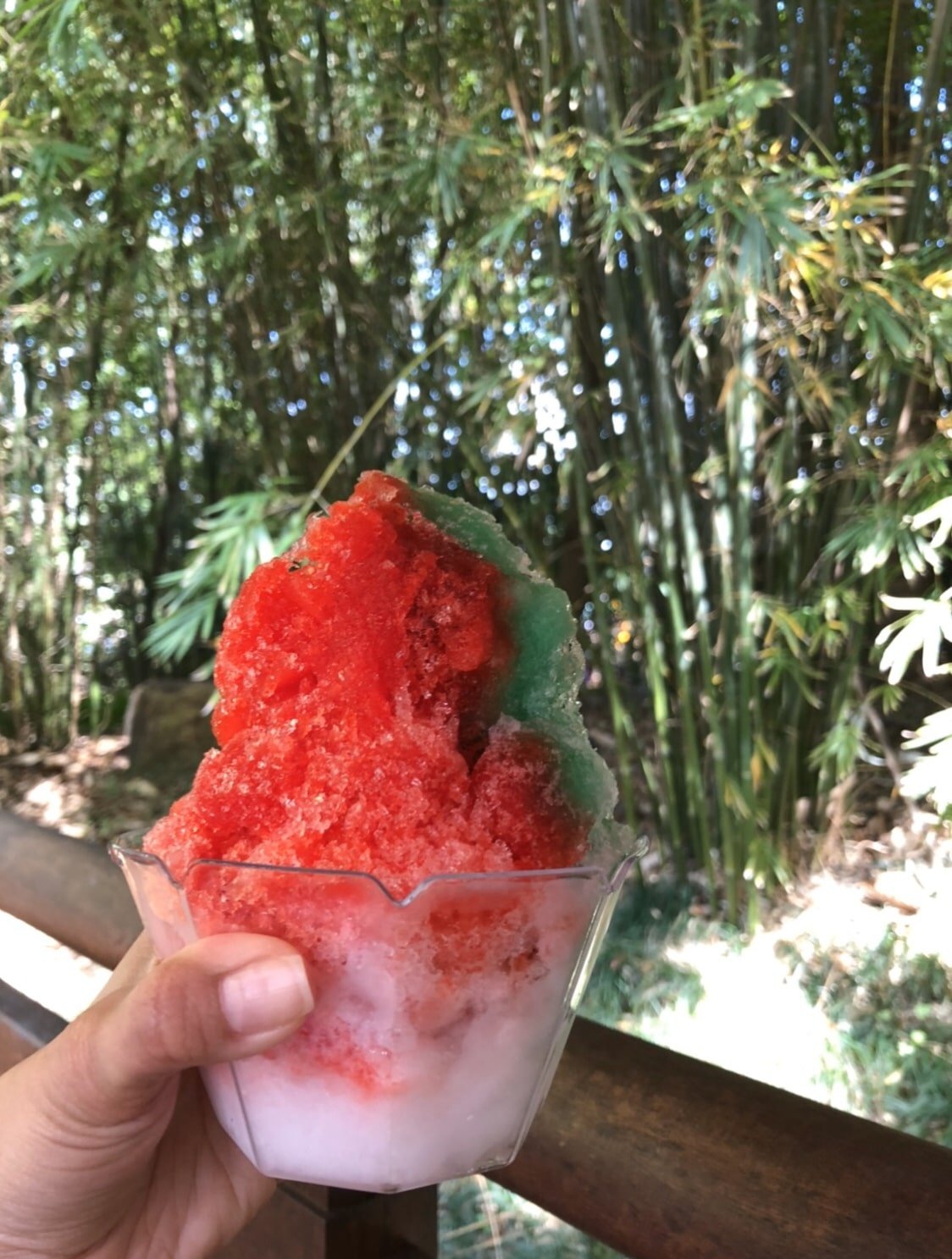 Vegan Rainbow Kakigori at Kabuki Cafe in Epcot at Walt Disney World