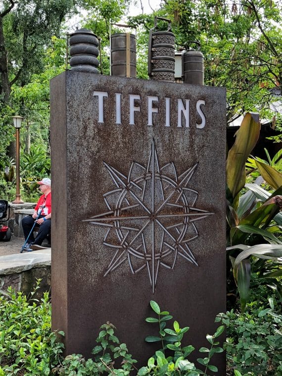 Vegan Review of Tiffins in Disney’s Animal Kingdom at Walt Disney World