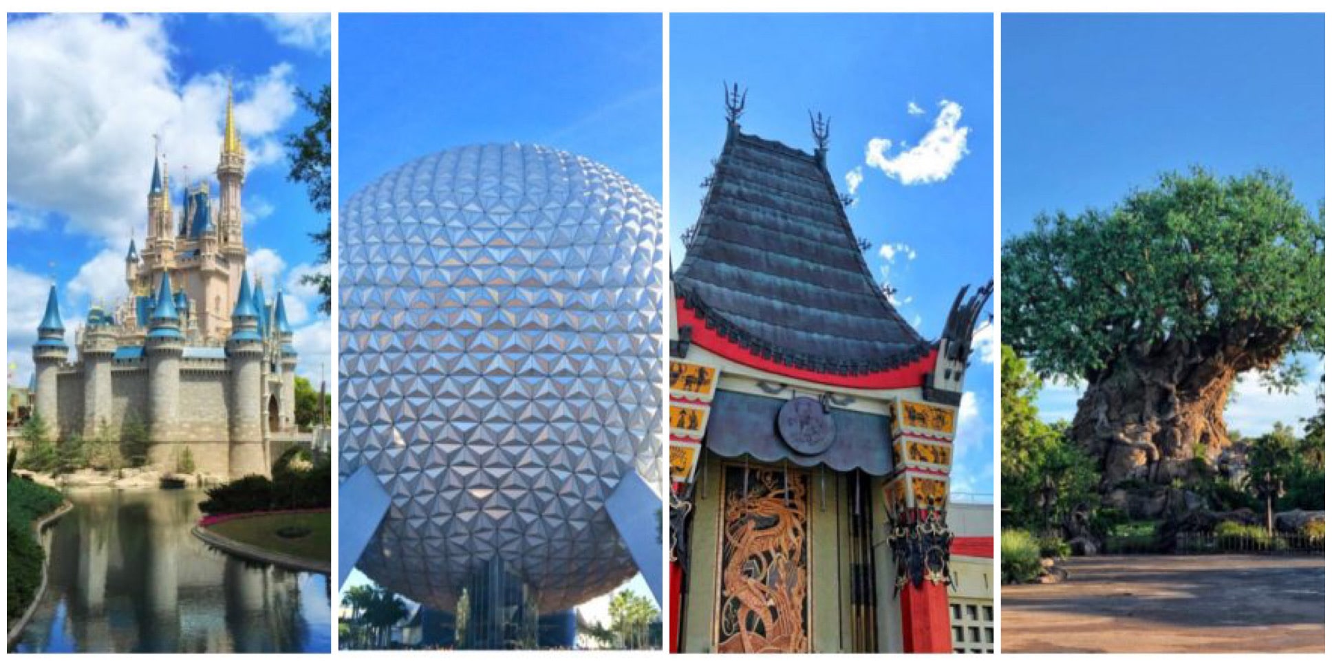 A Comprehensive Guide to Walt Disney World Phased Reopening Procedures ...