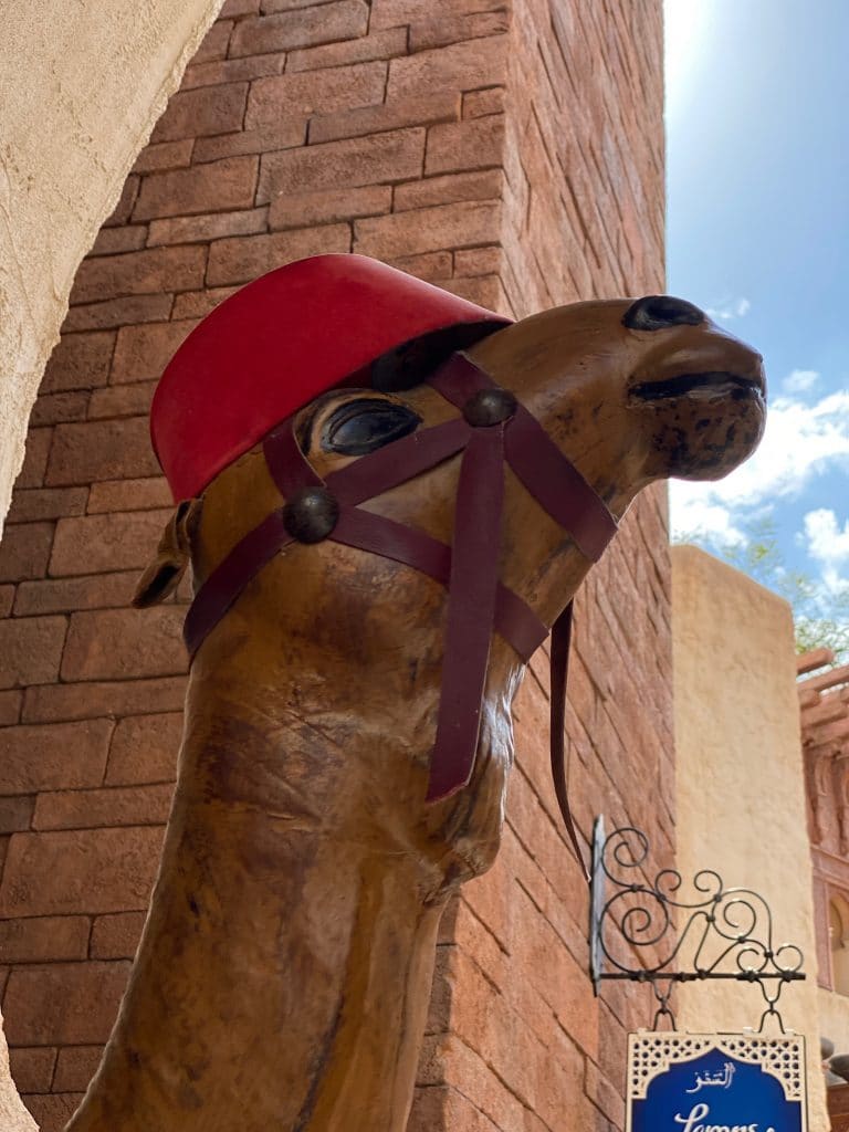 Morocco camel Epcot