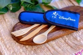 bamboo reusable utensils Disney parks