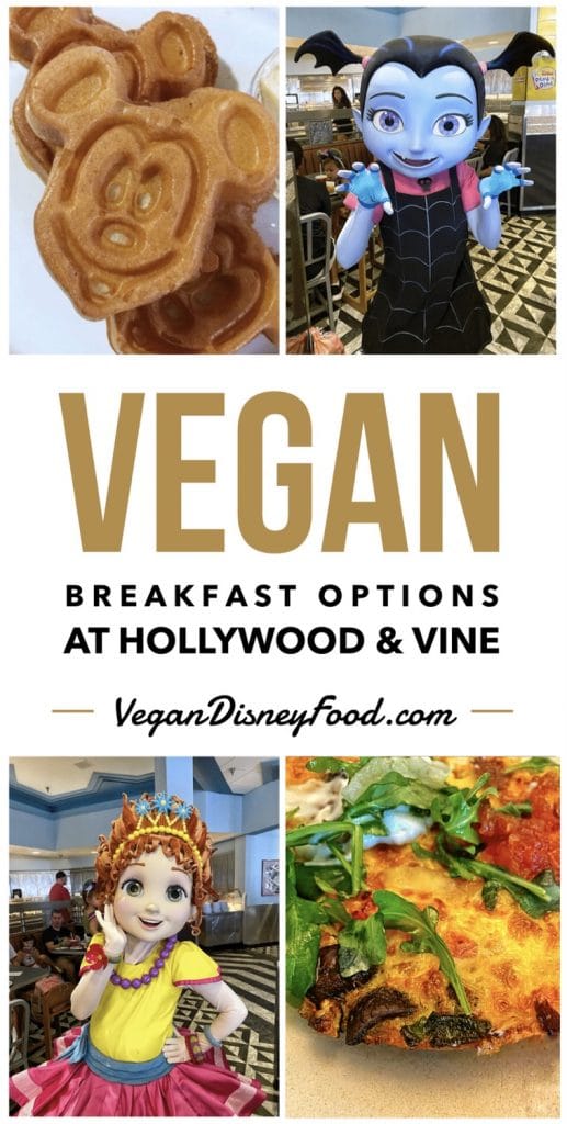 Hollywood and Vine Disney Junior Play ‘n Dine Vegan Breakfast Options at Disney’s Hollywood Studios in Walt Disney World