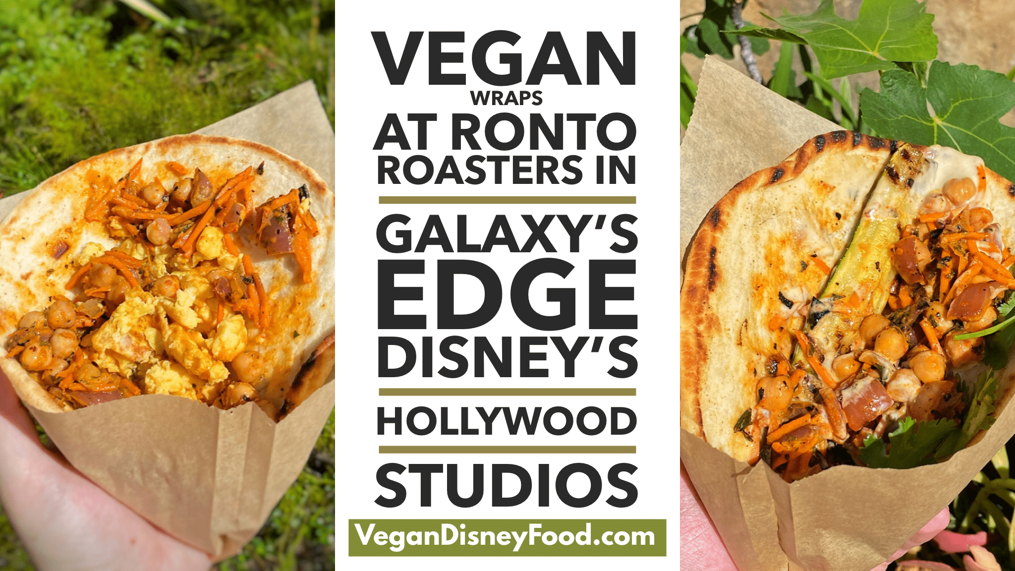 NEW Vegan Options at Ronto Roasters in Disney's Hollywood Studios